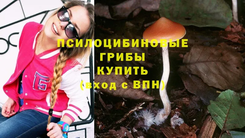 Псилоцибиновые грибы Cubensis  площадка клад  Сатка  дарнет шоп 